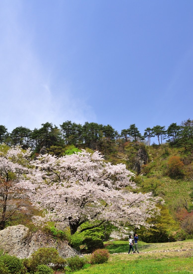 🏞️ 키미마치자카 현립 자연공원(키미마치자카 켄리츠 시젠 코엔)